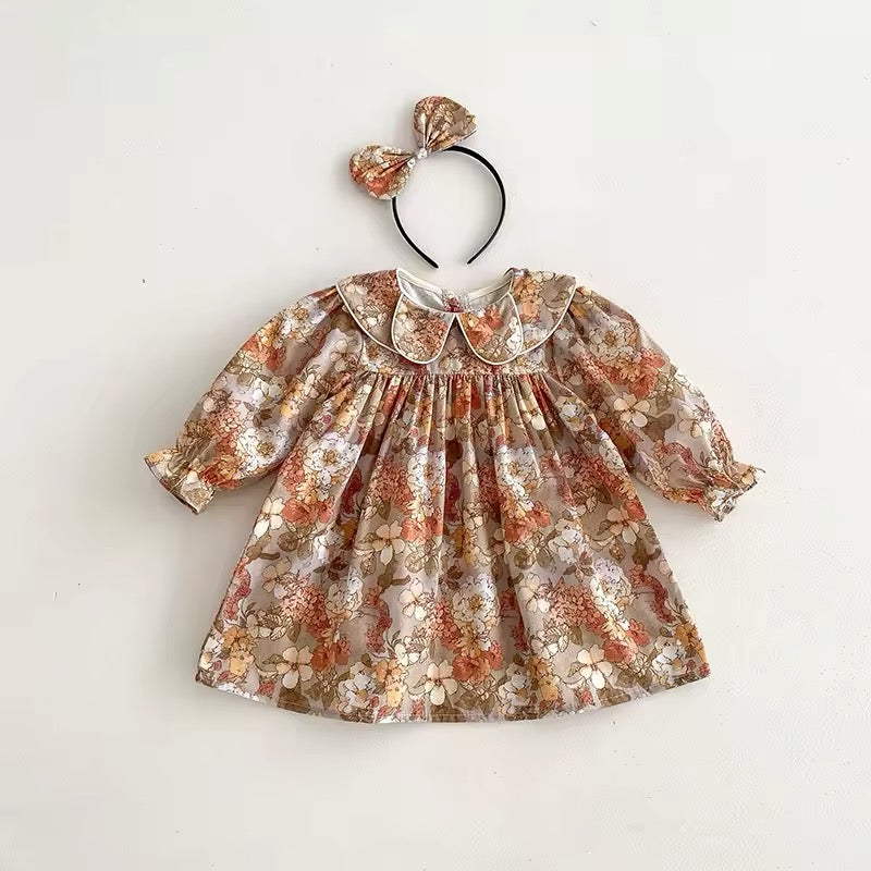 Collar Lace Romper & Dress