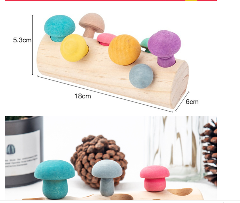 Montessori Mushroom Puzzle