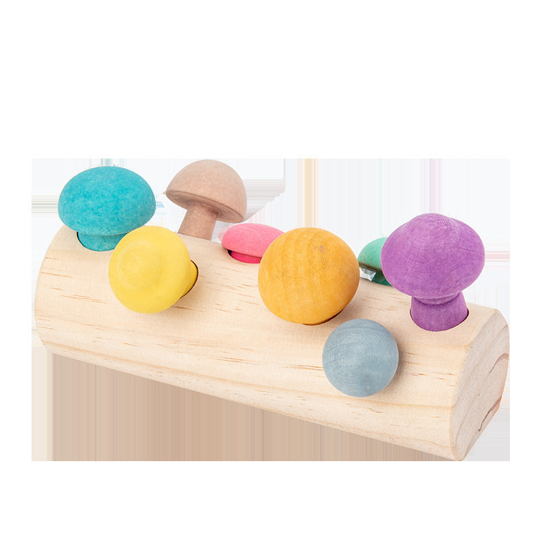 Montessori Mushroom Puzzle