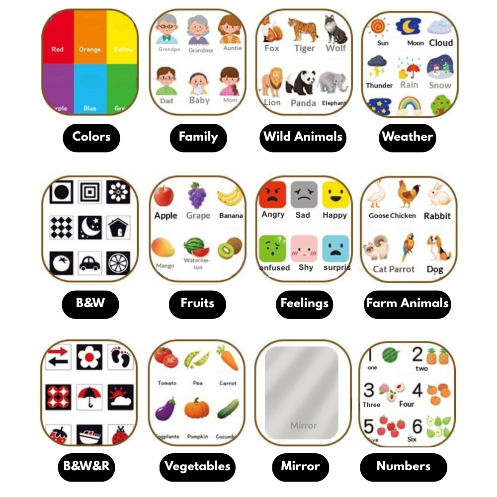 My First 360° Learning Board