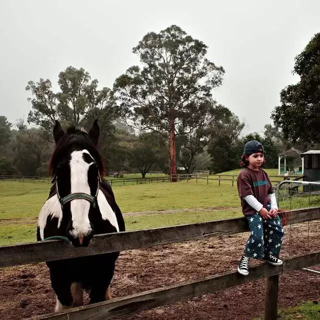Child sitting on a fence next to a pony wearing navy star gingham pants