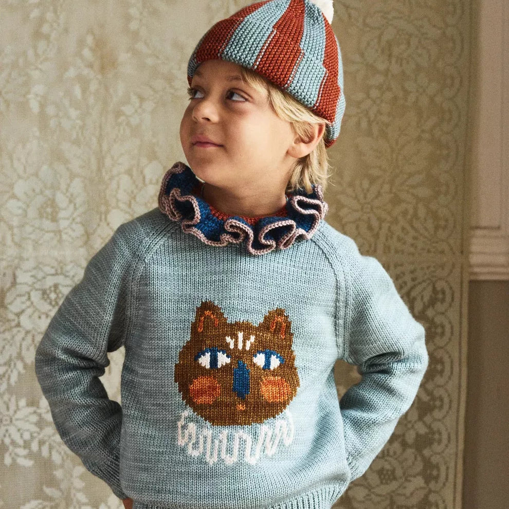 Smiling boy in a blue cat sweater and striped pompom beanie
