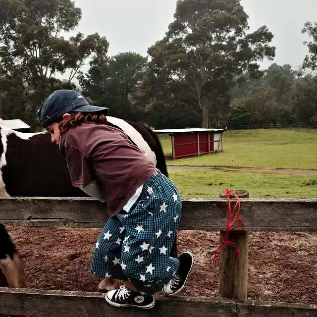 Child climbing a farm fence in navy star print pants