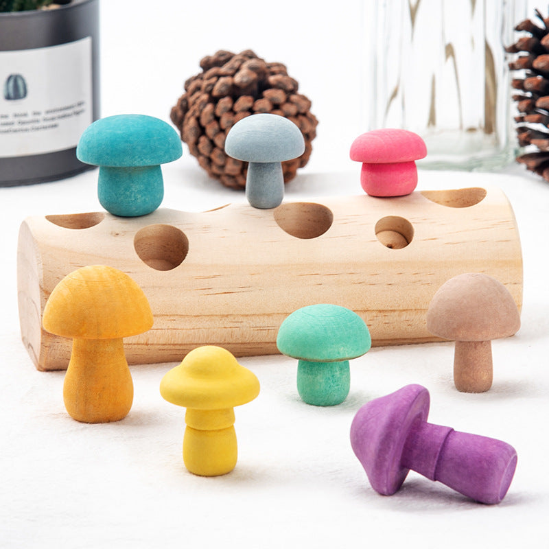 Montessori Mushroom Puzzle