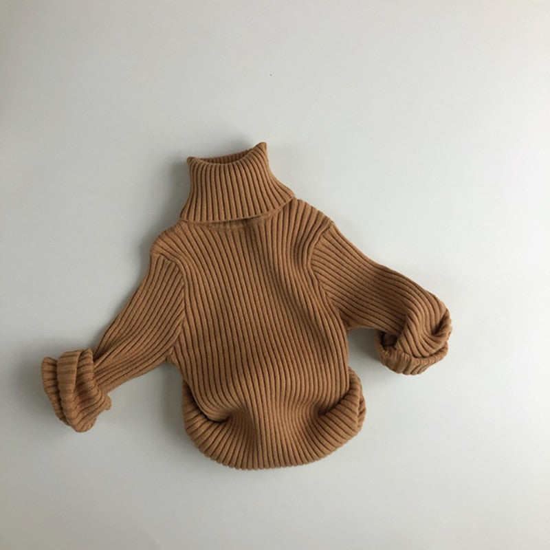 Turtle Neck Sweater