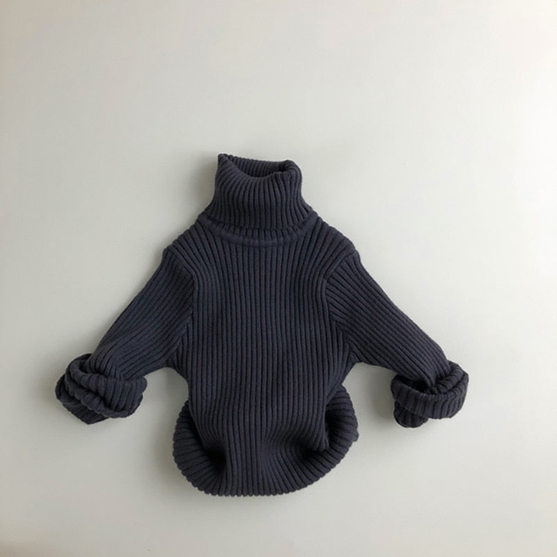 Turtle Neck Sweater