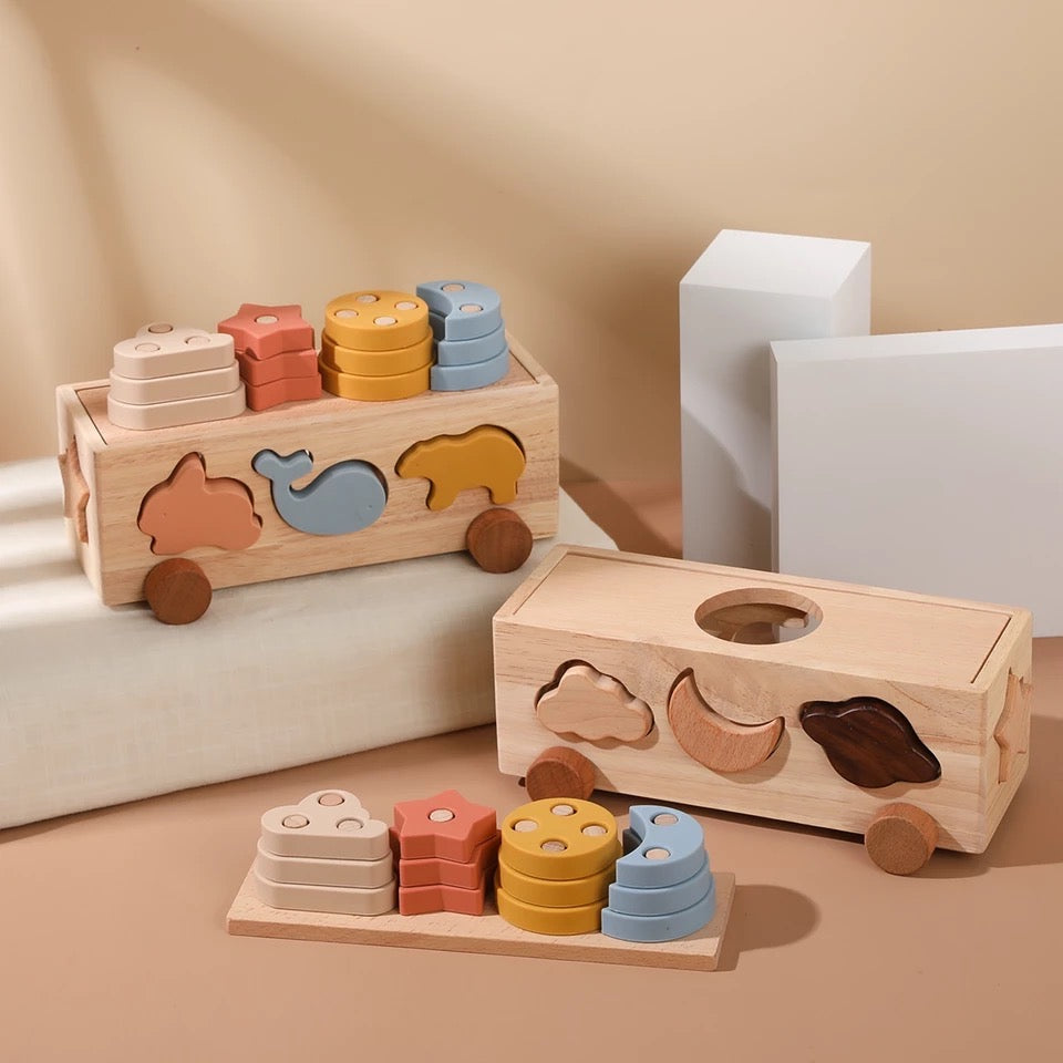 Montessori Wooden Playmobile