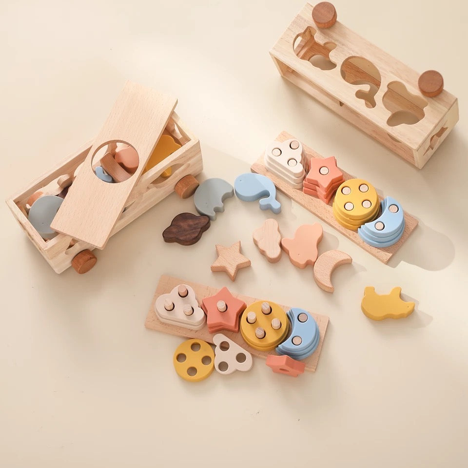 Montessori Wooden Playmobile