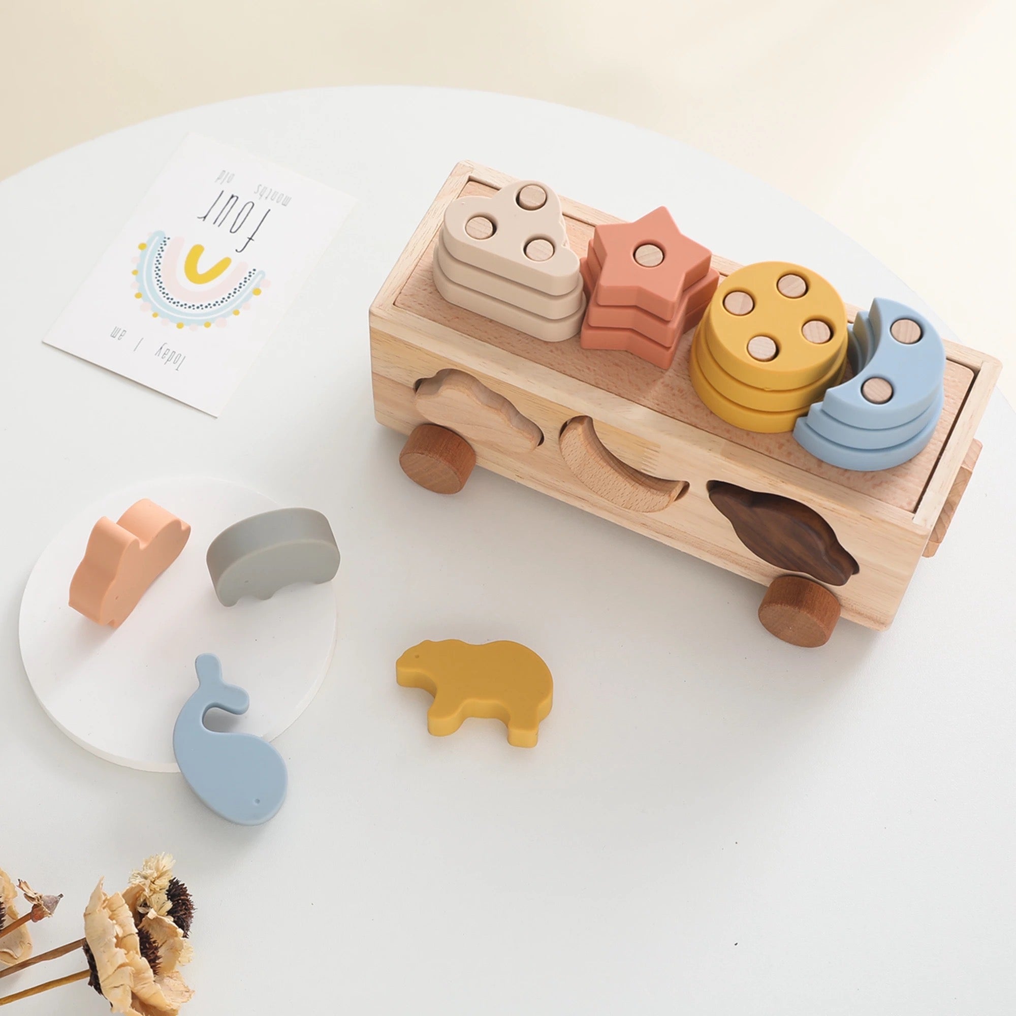 Montessori Wooden Playmobile