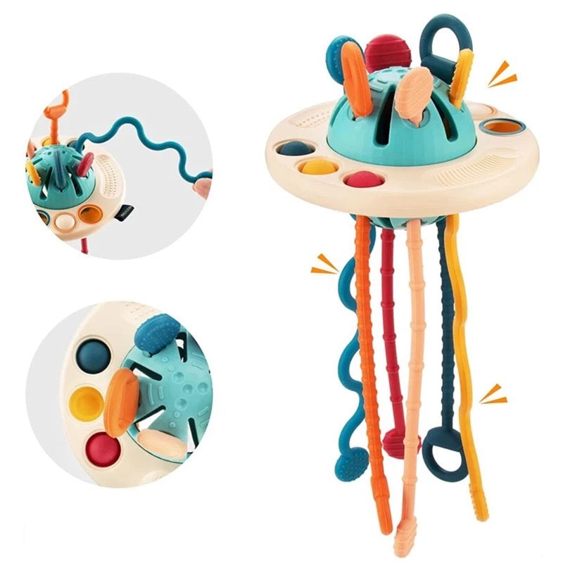 Montessori Sensory Toy