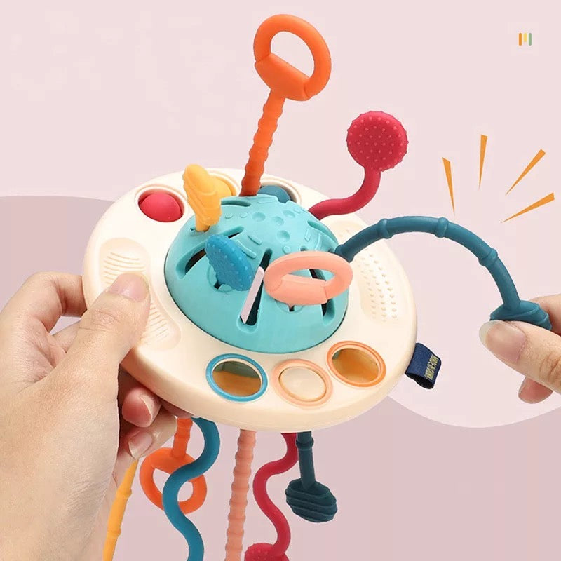 Montessori Sensory Toy
