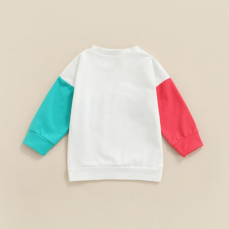 Back view of colour block rainbow sweatshirt
